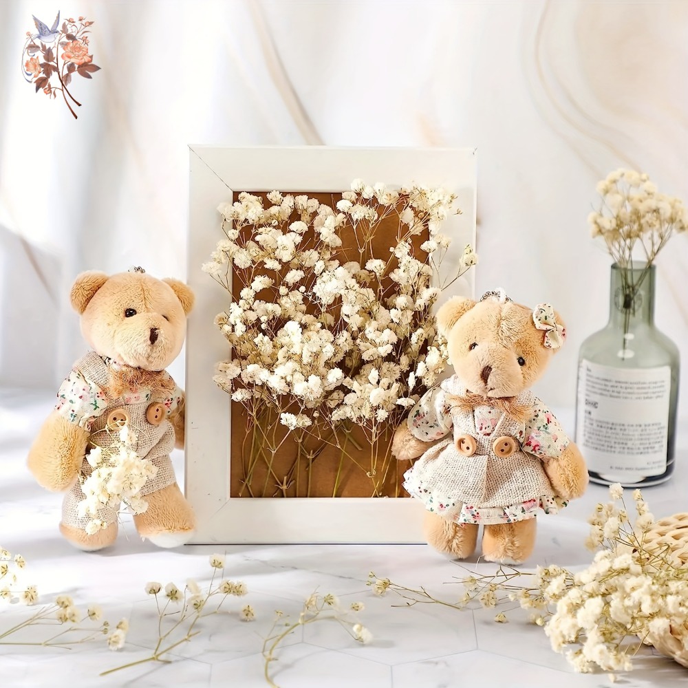 100pcs Mini Dried Baby's Breat - Embellish Craft 评论和价格